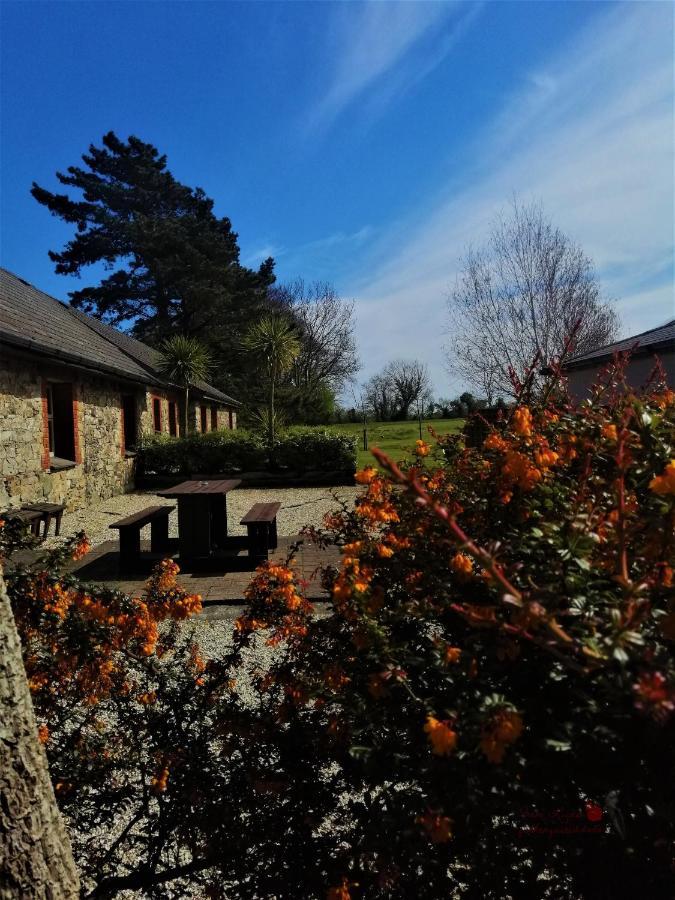 Moneylands Farm Self-Catering Apartments Arklow Eksteriør billede